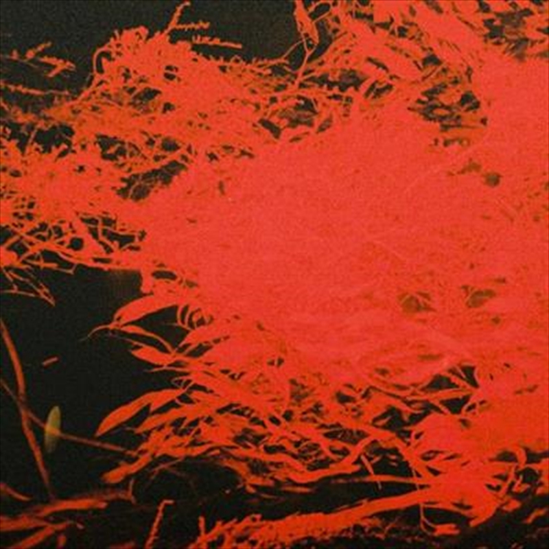 In Studio Magic/Product Detail/Dance