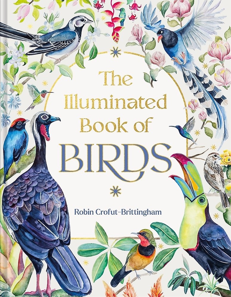 The Illuminated Book of Birds/Product Detail/Animals & Nature