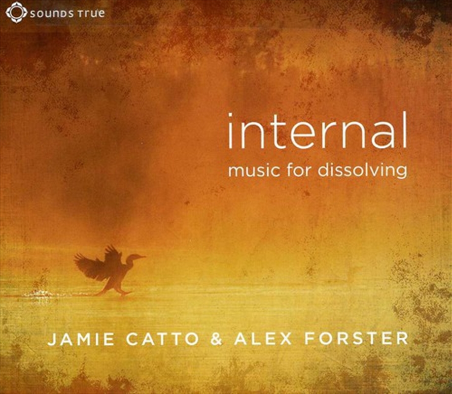 Internal: Music For Dissolving/Product Detail/Instrumental