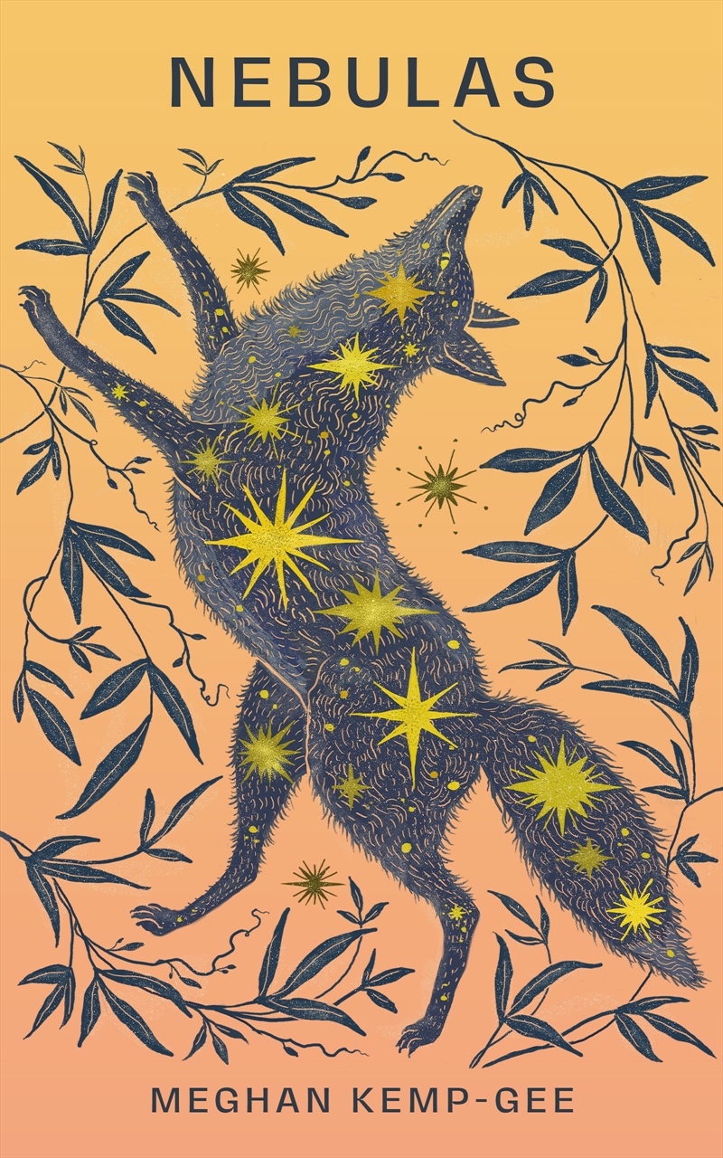 Nebulas/Product Detail/Reading