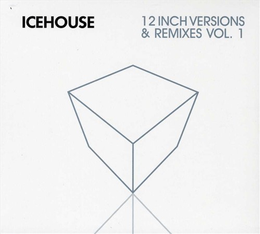 12 Inch Versions & Remixes Vol 1/Product Detail/Rock