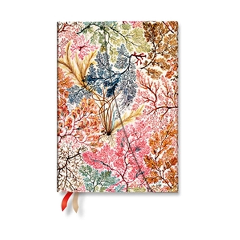 2027 Anemone William Kilburn Midi 12-Month Hardcover Dayplanner Wrap Closure Horizontal/Product Detail/Stationery