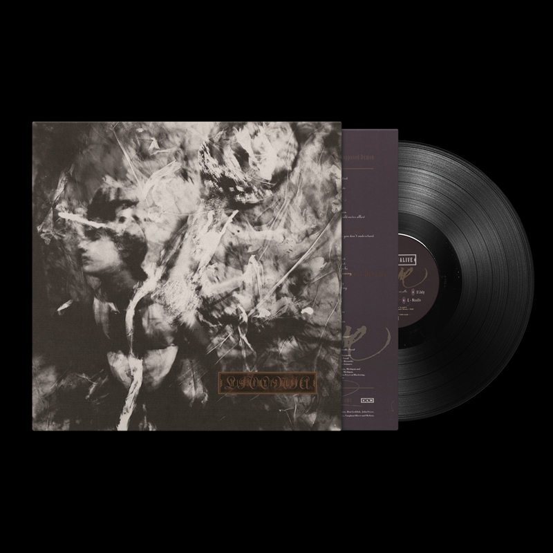 Livonia/Product Detail/Rock