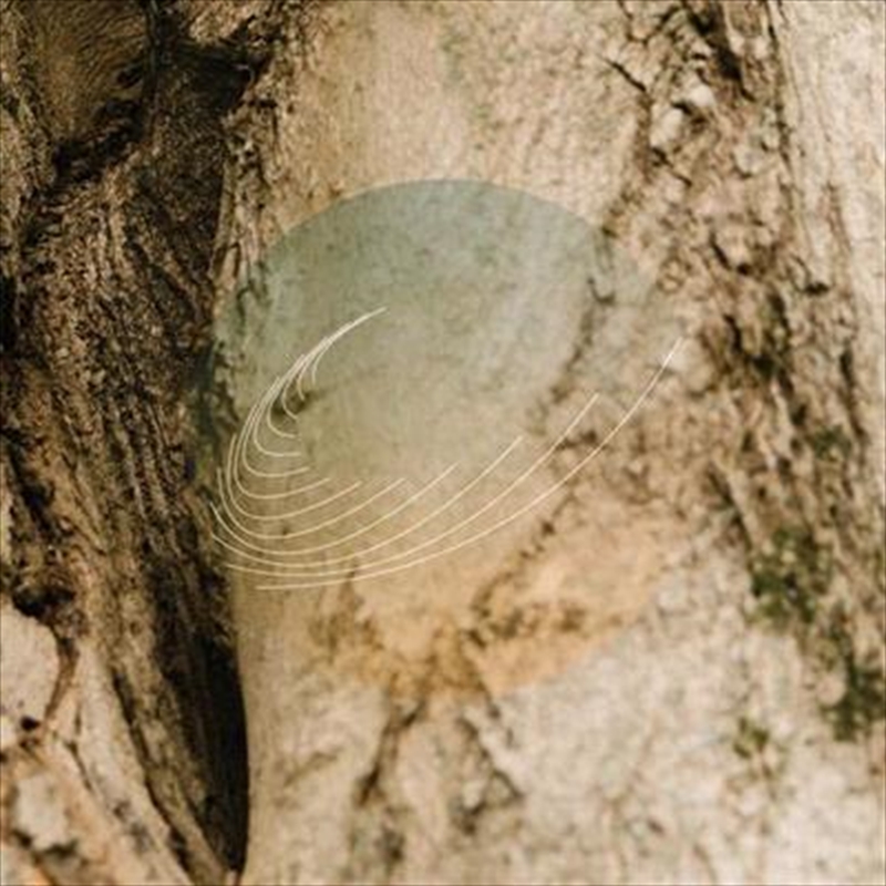 Maples, Ash, And Oaks: Cedars/Product Detail/Alternative