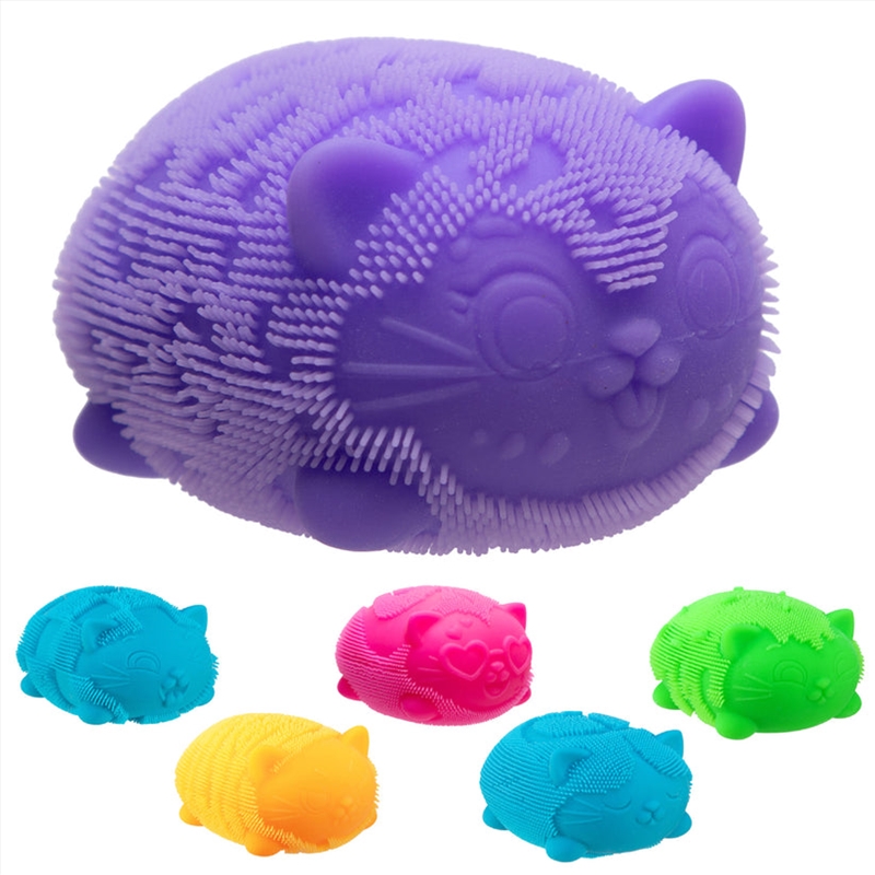 Schylling - Fuzz Ball Wild Cats Nee Doh (Sent At Random)/Product Detail/Toys