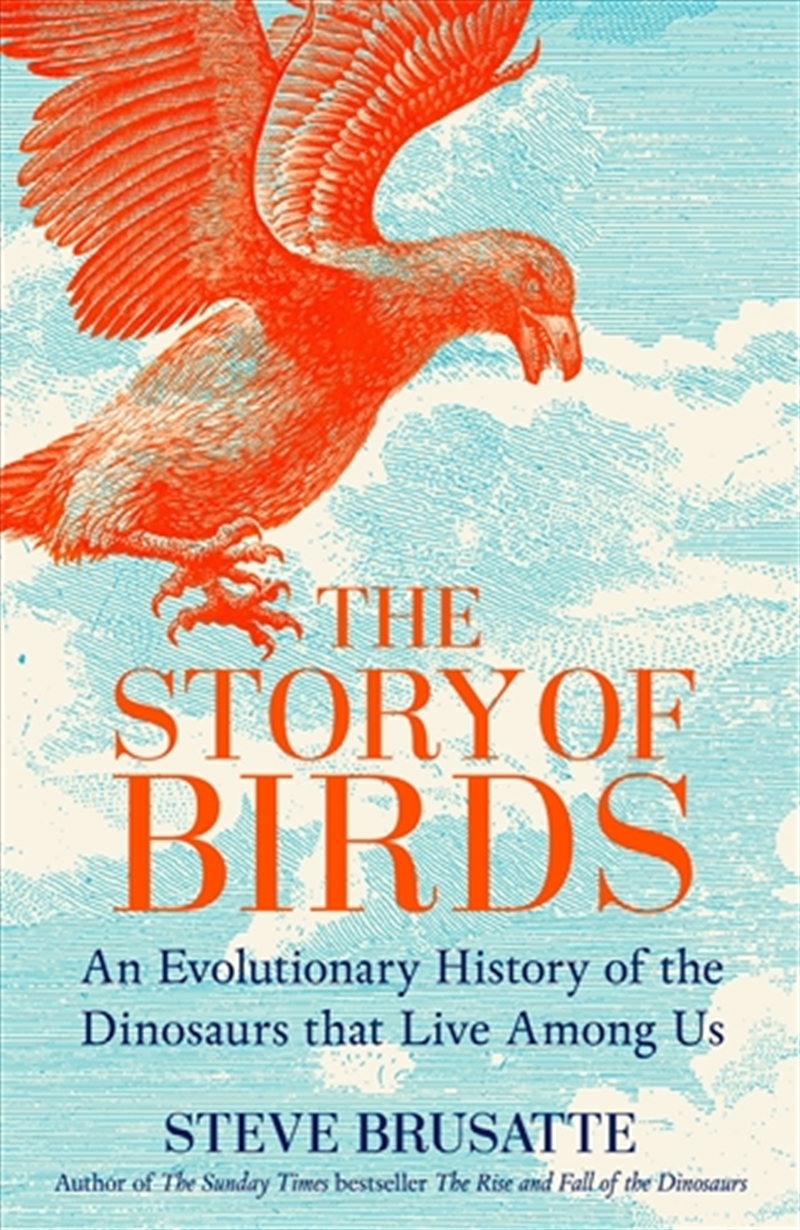 The Story of Birds/Product Detail/Animals & Nature