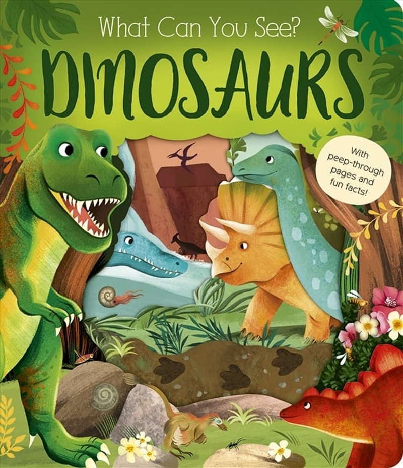 What Can You See? Dinosaurs/Product Detail/Early Childhood Fiction Books