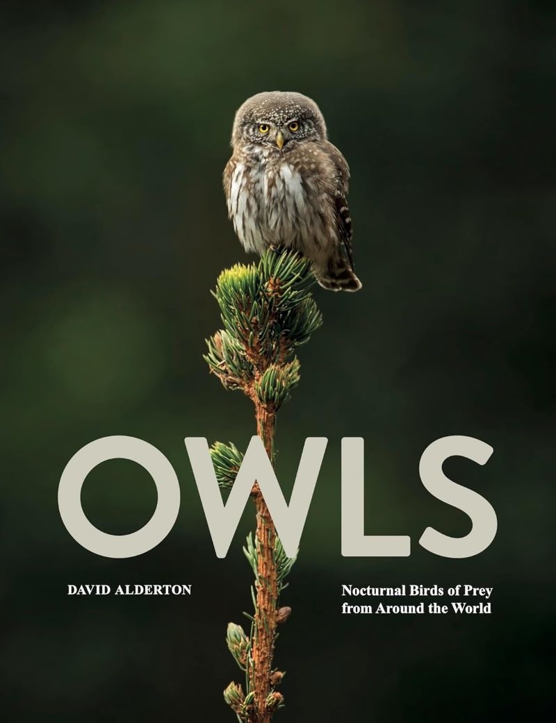 Owls: Nocturnal Birds of Prey from Around the World/Product Detail/Animals & Nature