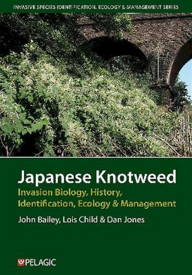 Japanese Knotweed/Product Detail/Gardening