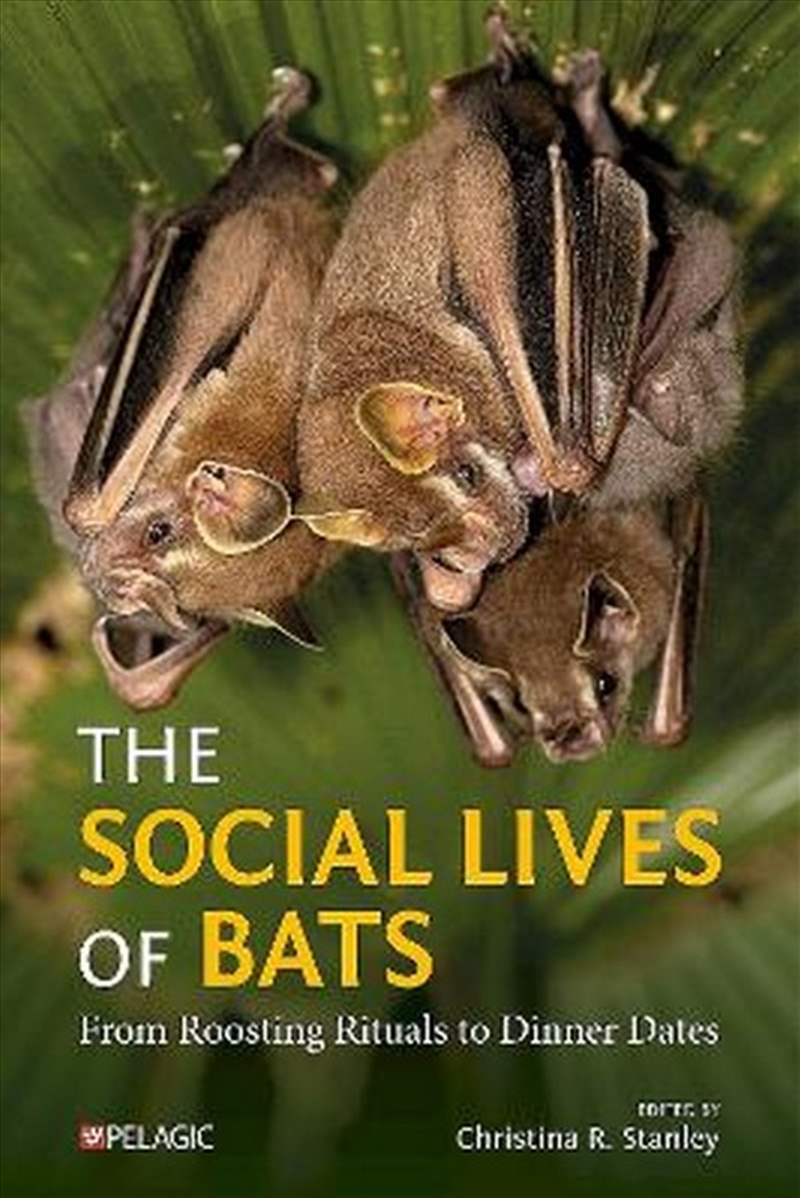 The Social Lives of Bats/Product Detail/Animals & Nature