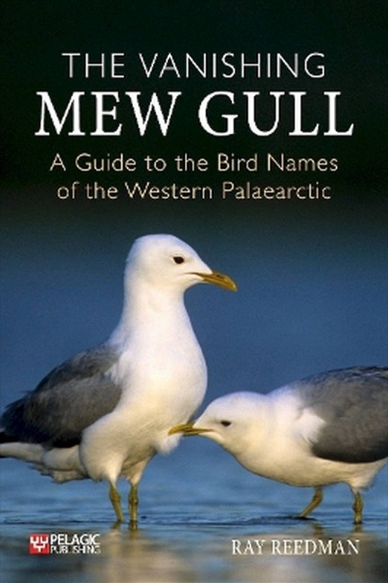 The Vanishing Mew Gull/Product Detail/Animals & Nature