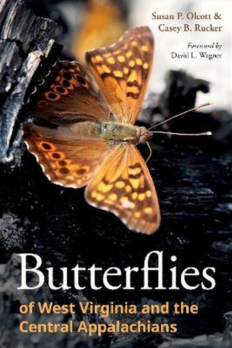Butterflies of West Virginia and the Central Appalachians/Product Detail/Animals & Nature