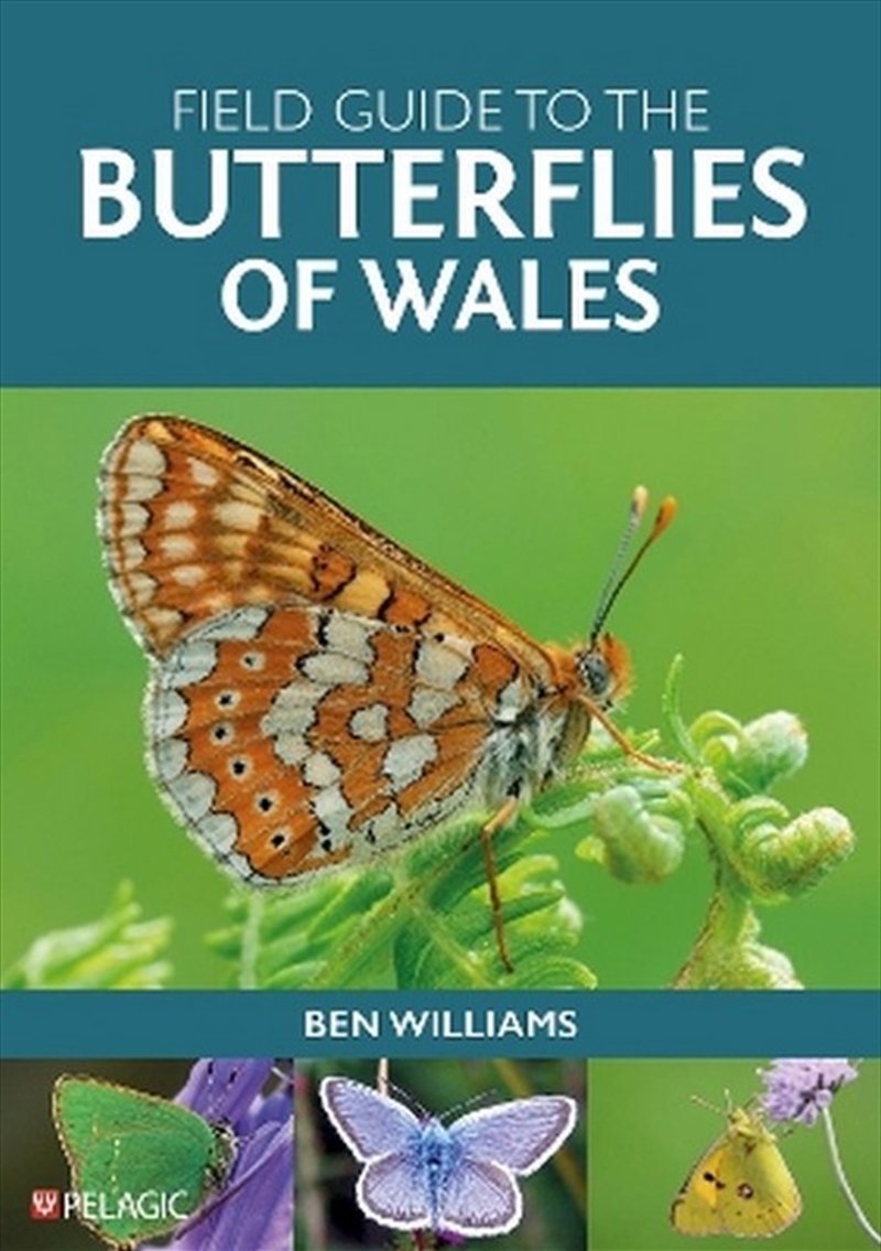 Field Guide to the Butterflies of Wales/Product Detail/Animals & Nature