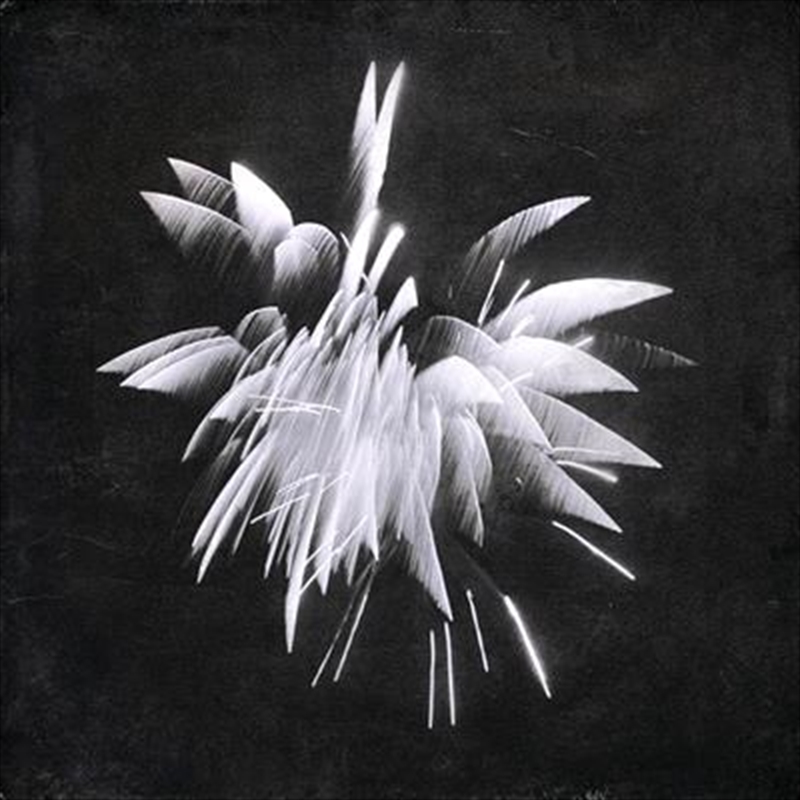 New Morning Howl/Product Detail/Rock/Pop