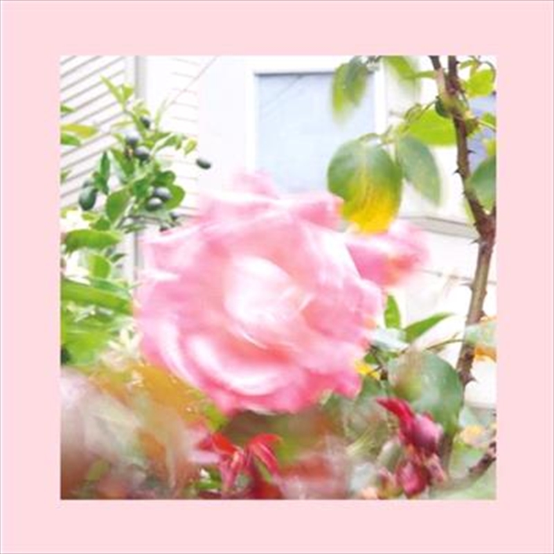 Summer At Land's End/Product Detail/Rock/Pop