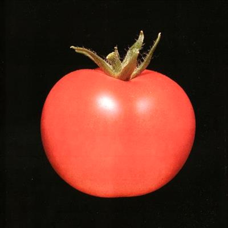 Chronophage/Product Detail/Alternative