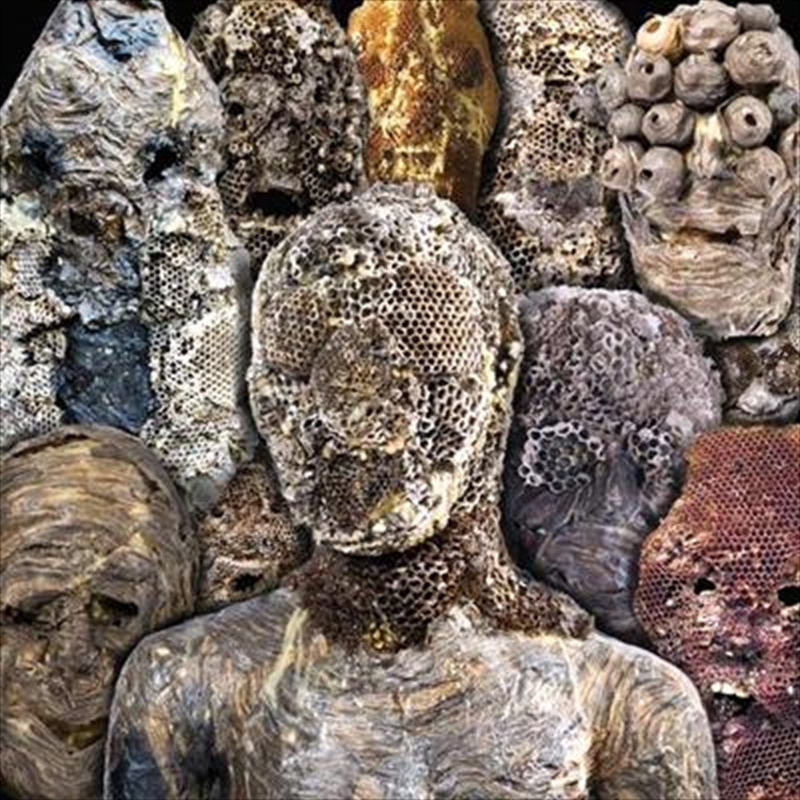 Shadow Swamps/Product Detail/Dance