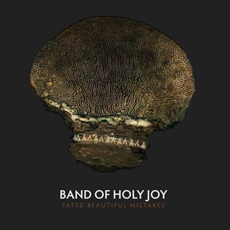 Fated Beautiful Mistakes/Product Detail/Alternative