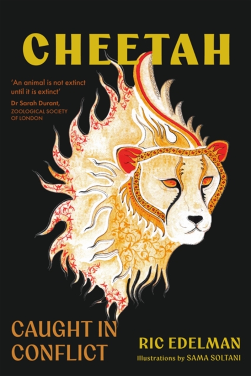 Cheetah : Caught in Conflict/Product Detail/Animals & Nature