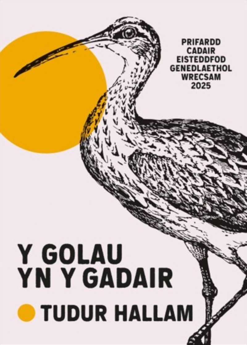 Y Golau yn y Gadair/Product Detail/Poetry