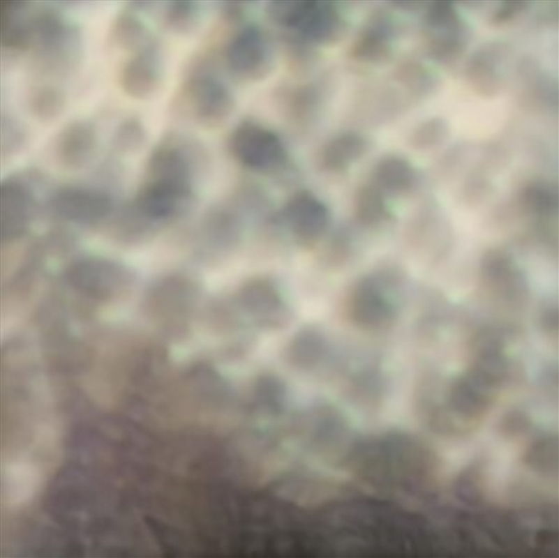 Ourselves As We Are/Product Detail/Classical