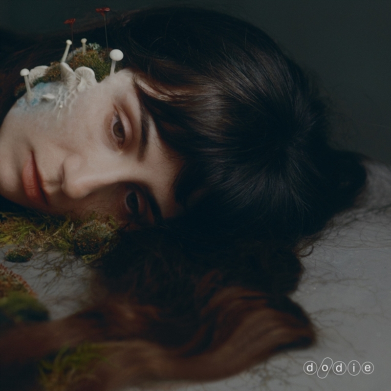 Not For Lack Of Trying/Product Detail/Jazz