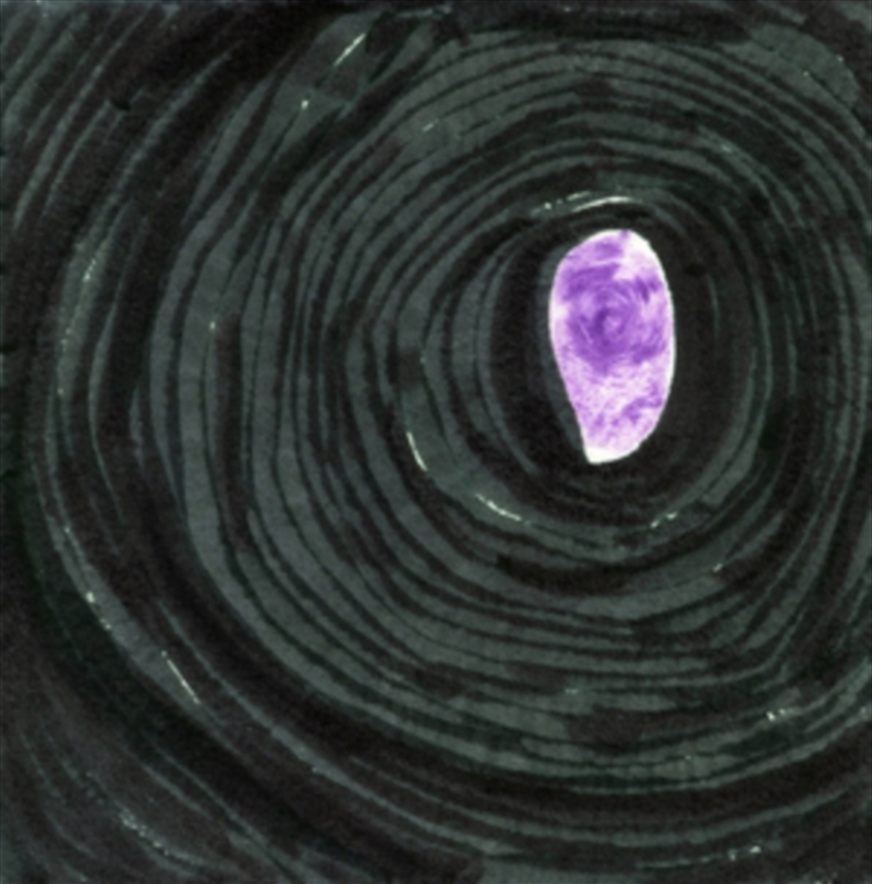 Tell Me / Don'T Be A Drag/Product Detail/Rock/Pop