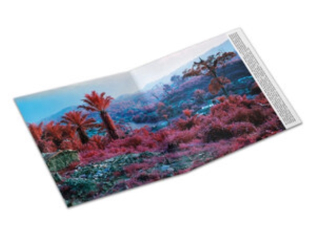 Archeology/Product Detail/World