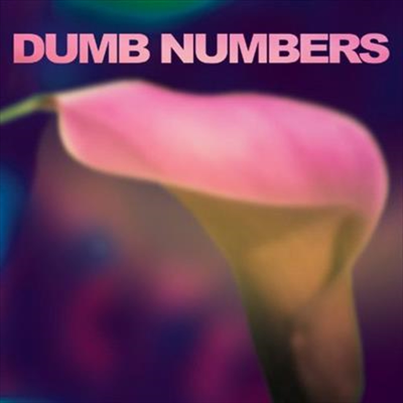 Dumb Numbers/Product Detail/Rock/Pop