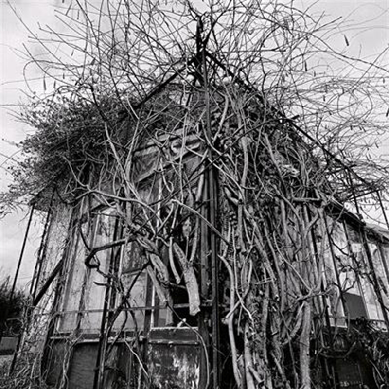 Dead Decades (Silver Vinyl)/Product Detail/Metal