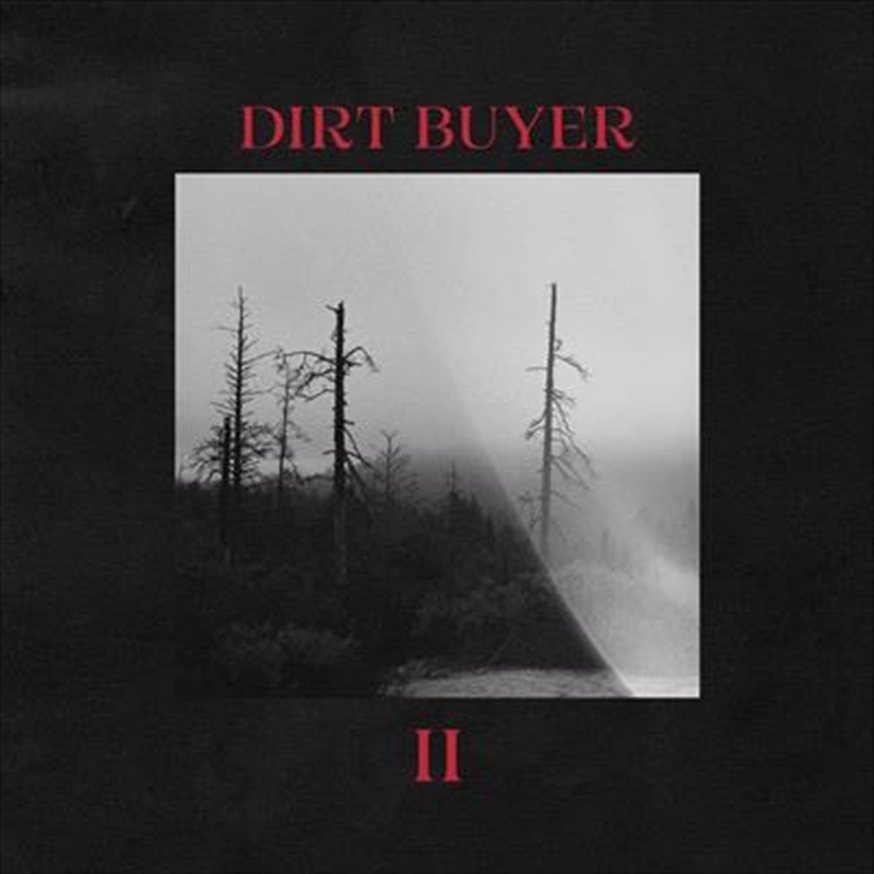 Dirt Buyer Ii (Red Marble Vinyl)/Product Detail/Alternative