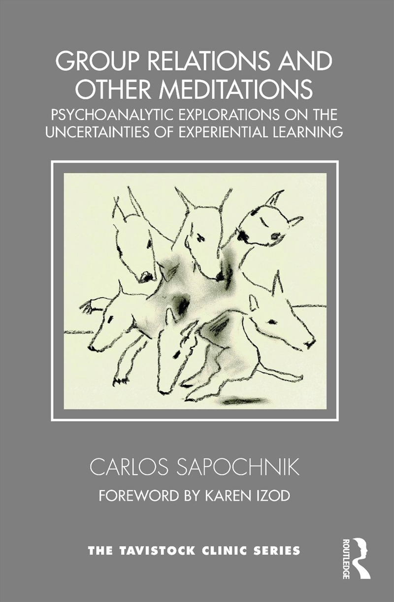 Group Relations and Other Meditations/Product Detail/Healthcare