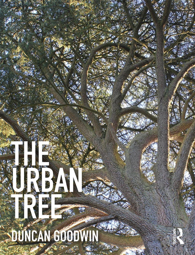 Urban Tree/Product Detail/Architecture