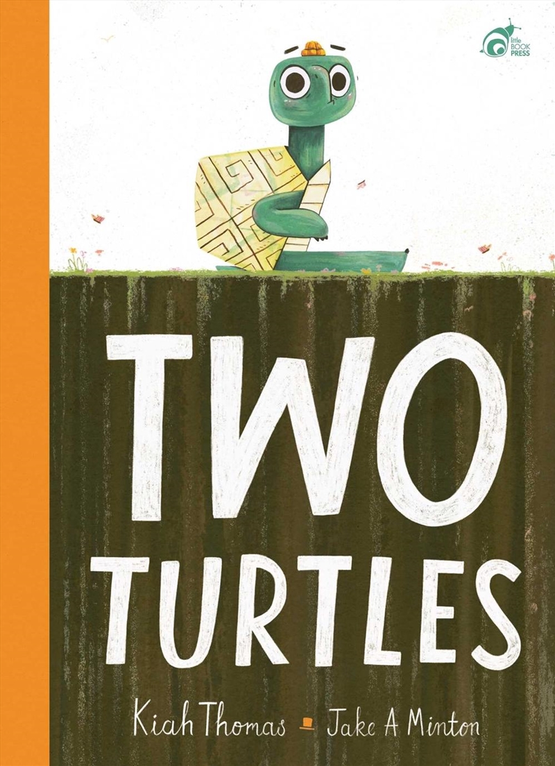 Two Turtles/Product Detail/Early Childhood Fiction Books
