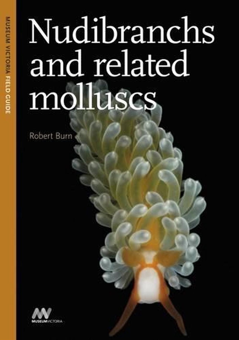 Nudibranchs and Related Molluscs/Product Detail/Science