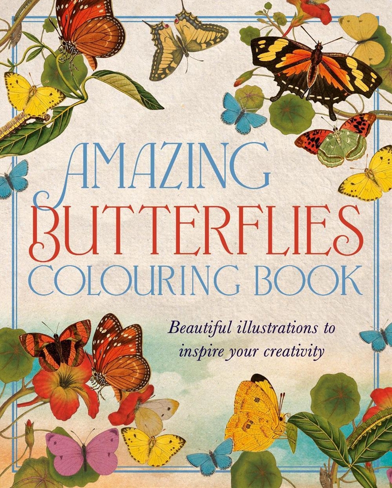 Amazing Butterflies Colouring Book/Product Detail/Adults Colouring