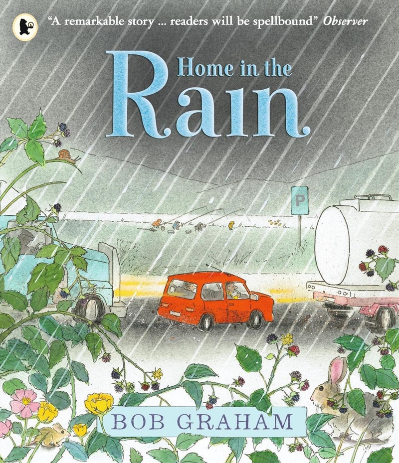 Home in the Rain/Product Detail/Early Childhood Fiction Books