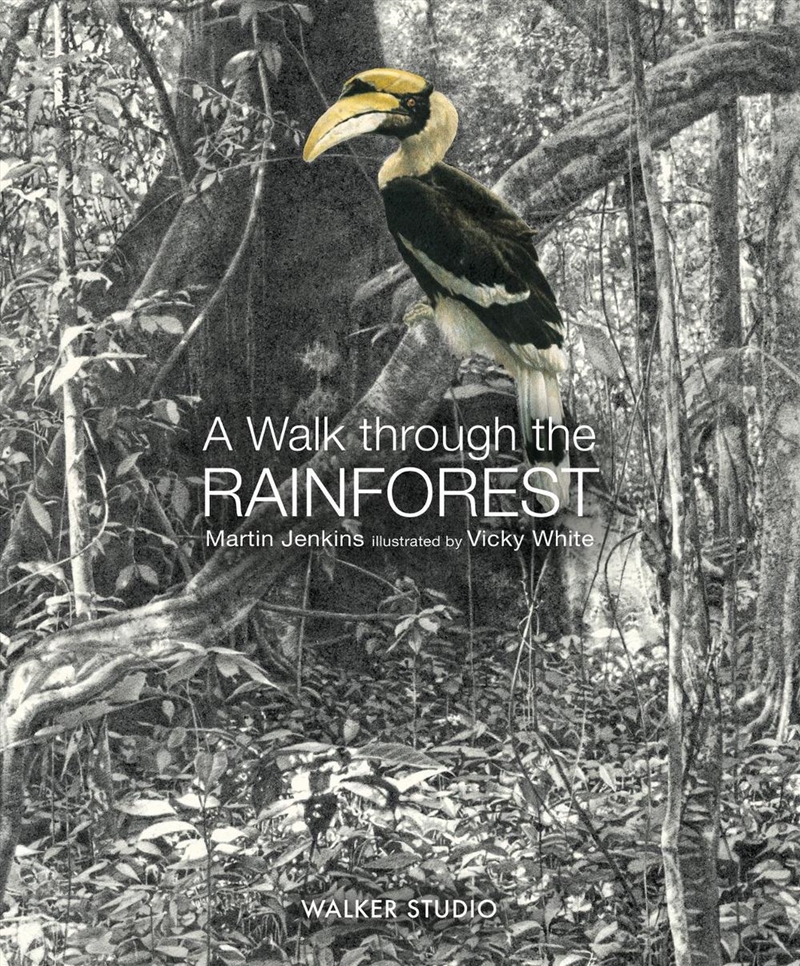 Walk Through the Rainforest/Product Detail/Childrens