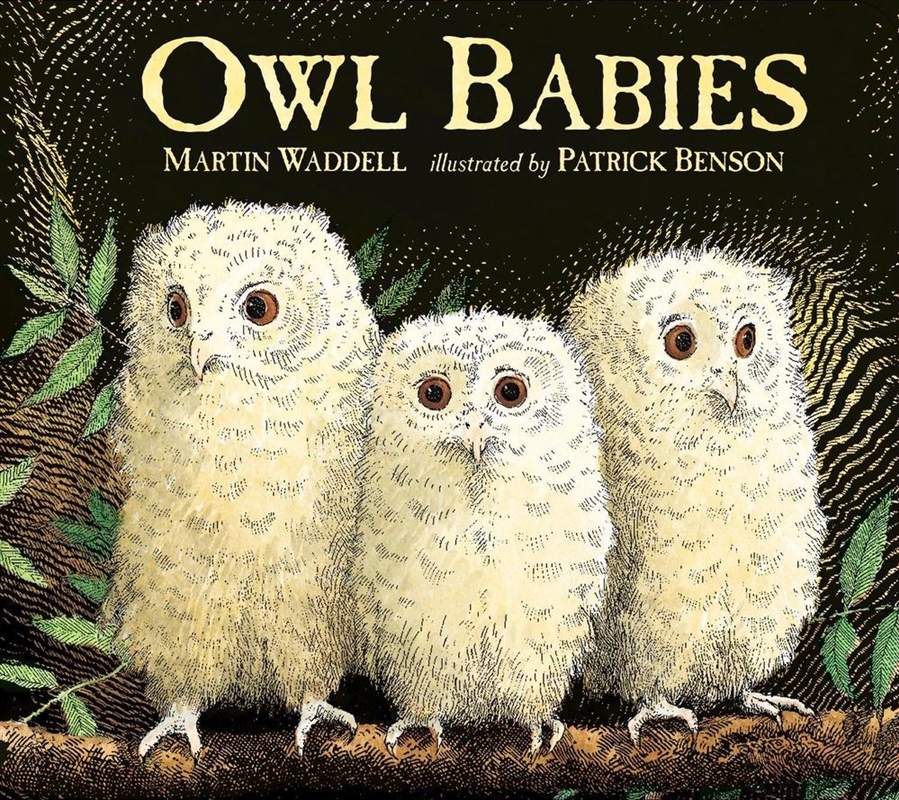Owl Babies/Product Detail/Early Childhood Fiction Books