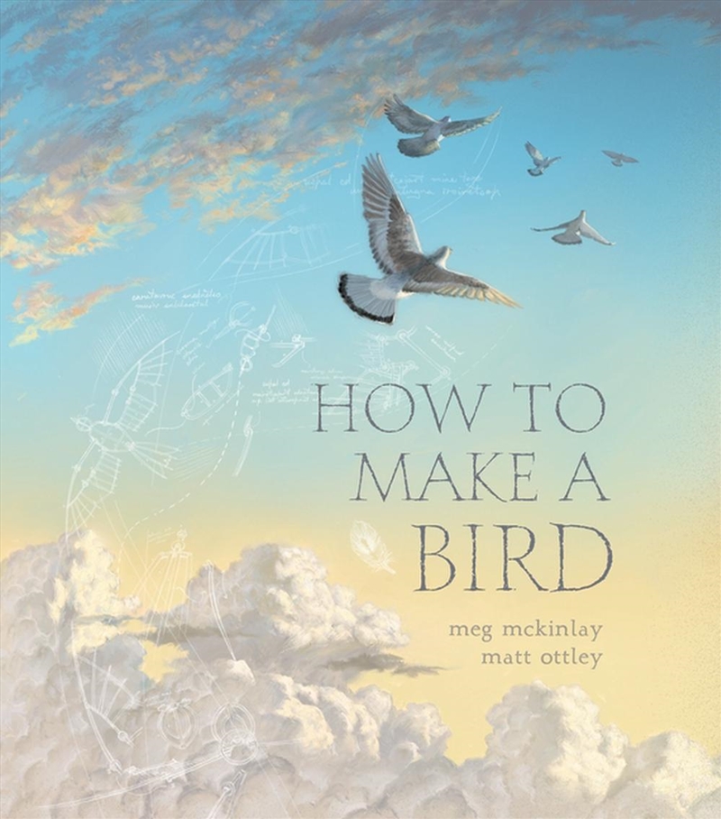 How to Make a Bird/Product Detail/Early Childhood Fiction Books