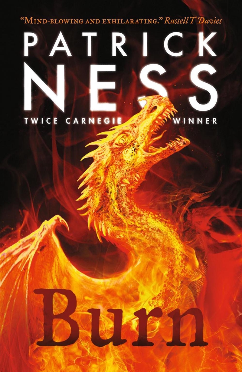 Burn/Product Detail/Childrens Fiction Books