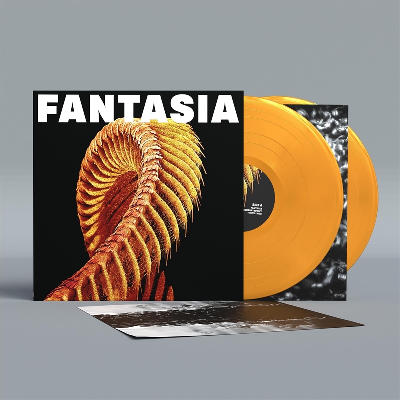 Fantasia - Mustard Yellow Vinyl/Product Detail/Pop
