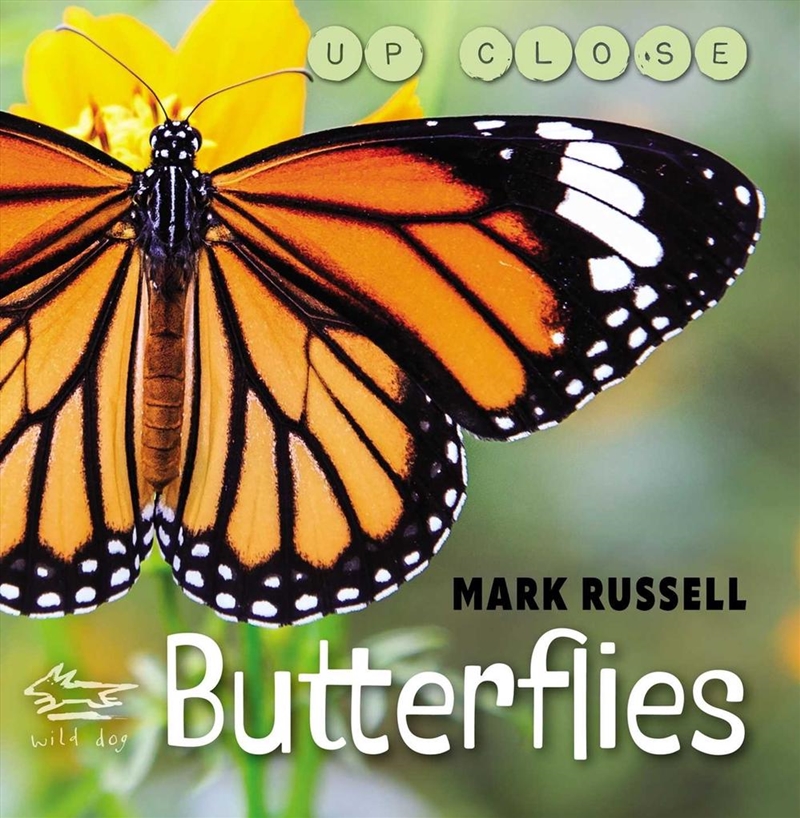 Butterflies/Product Detail/Animals & Nature