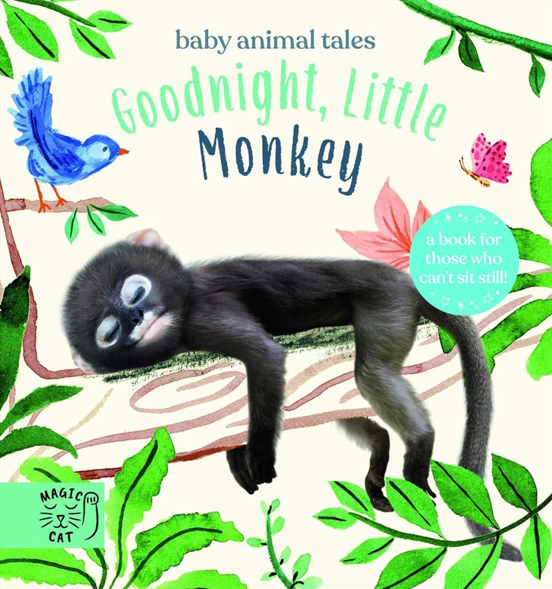 Goodnight, Little Monkey/Product Detail/Early Childhood Fiction Books