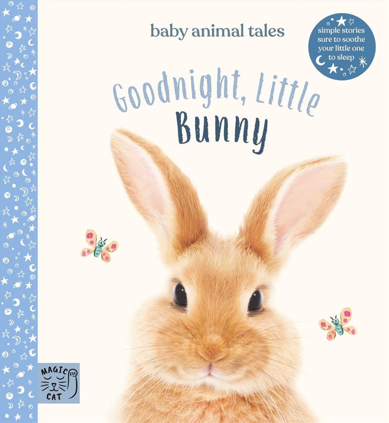 Goodnight, Little Bunny/Product Detail/Childrens Fiction Books
