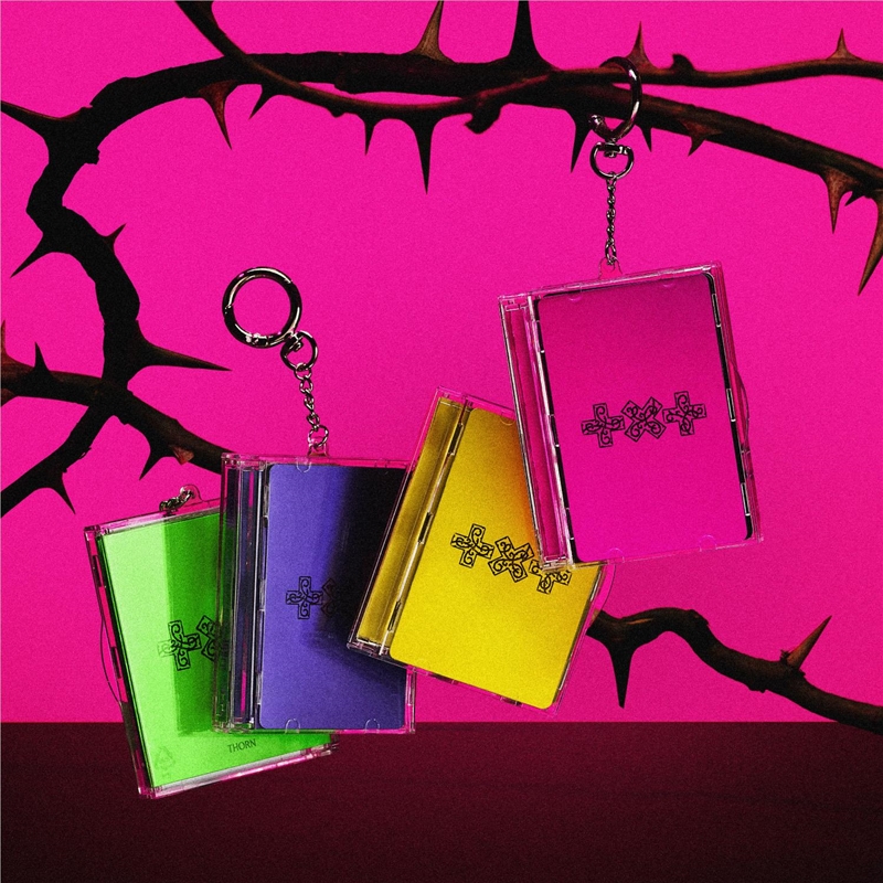 7TH YEAR: A Moment of Stillness in the Thorns (Photocard Case Ver.)/Product Detail/World