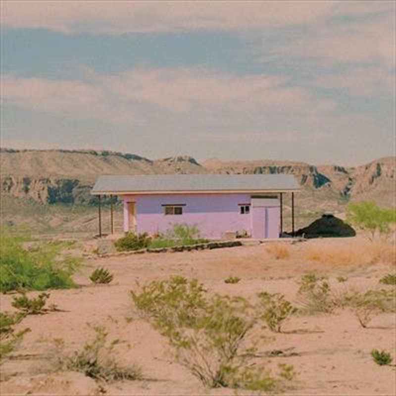 We're Having A Barn Dance - Lilac Coloured Vinyl/Product Detail/Alternative