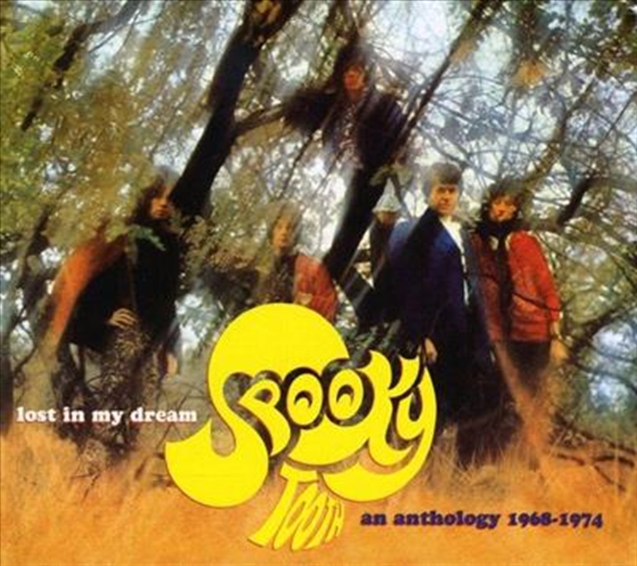 Lost In My Dream: An Anthology 1968-1974/Product Detail/Rock/Pop
