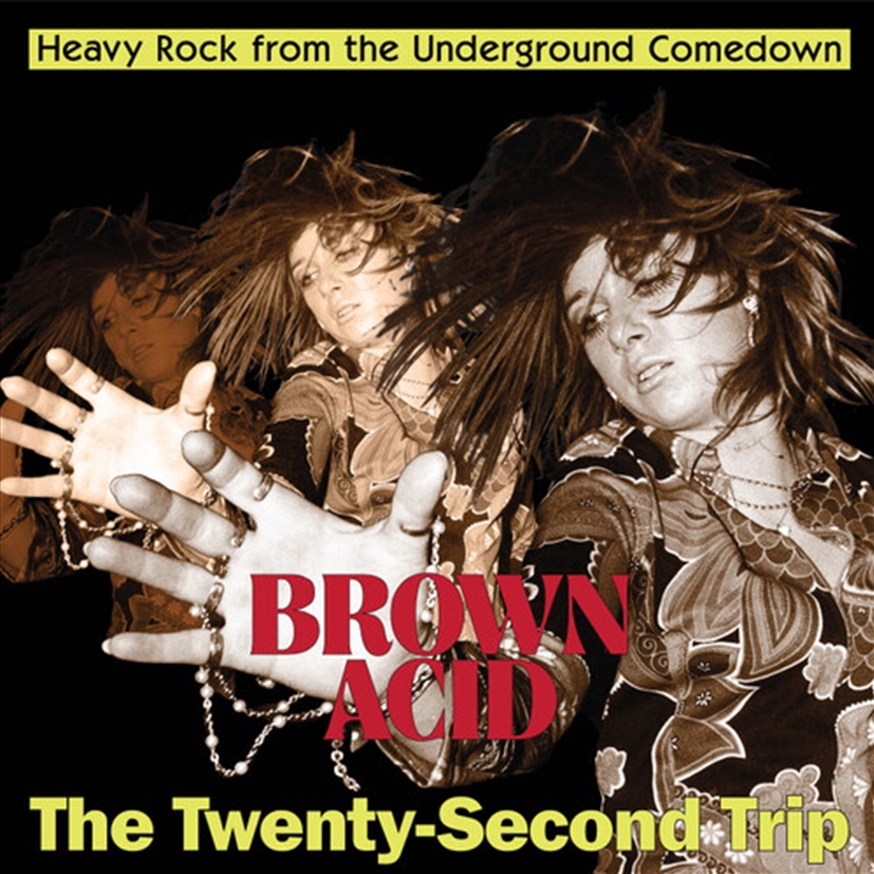 Brown Acid - The Twenty-Second Trip/Product Detail/Metal