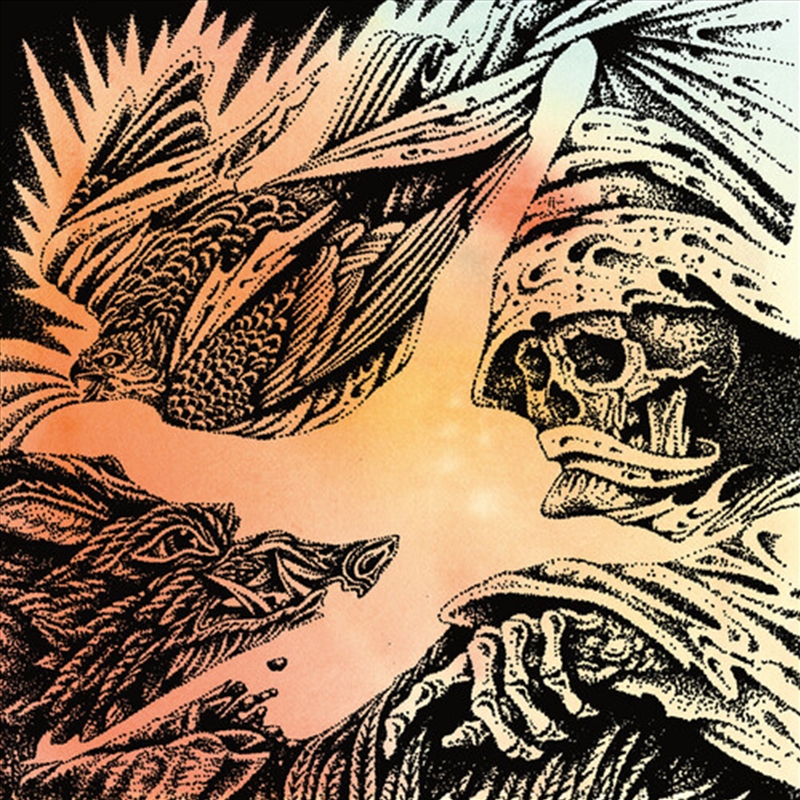 Focus/Product Detail/Metal